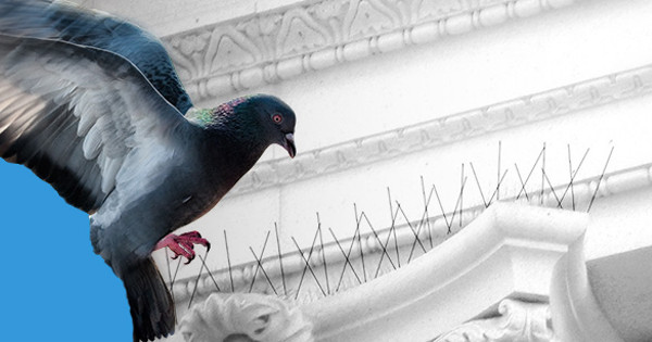 Účinná ochrana fasád: Vyskúšajte hroty